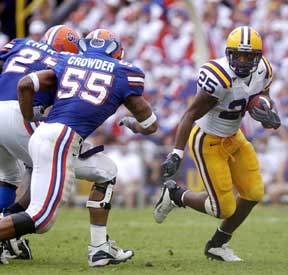 Tigers lack the 'three I's' in Florida defeat