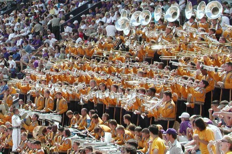 Tiger Band a talented group of 325