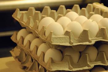 Dozens of eggs await their destiny on the skillet at Louies Cafe. New studies show eggs may help people lose weight.