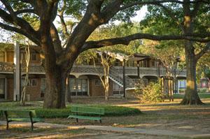 The Nicholson Apartments are being evaluated by the University to determine whether they should be upgraded or replaced.