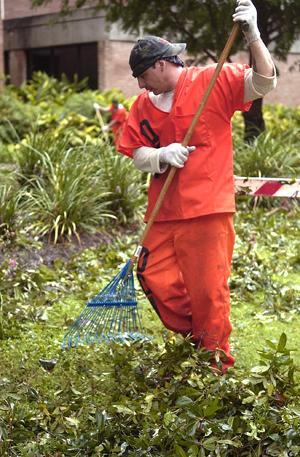 Kelly Gray, an inmate from New Orleans, rakes leaves Wednesday morning as part of the Louisiana Workforce release program.