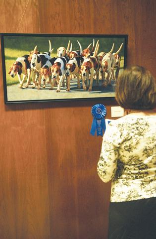 A guest views &#8220;Morning Walk&#8221; by Margaret Rice on Sunday. The painting won &#8220;Best in Show&#8221; at the Vet School&#8217;s show.