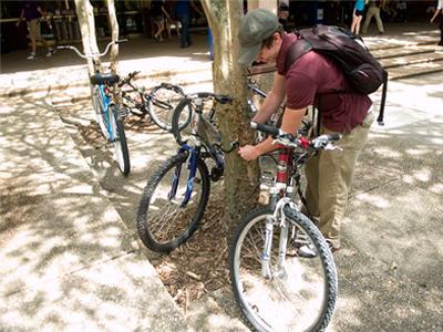 Nick Arnold, biological sciences senior, chains his bicycle to a tree outside of Middleton Library Wednesday afternoon.