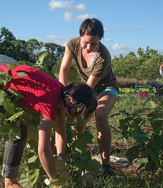 Ashley Braquet, community member (left), and Meghan Alvendia, biological sciences sophomore (right), help clean up the Hill Farm Community Garden on Monday.