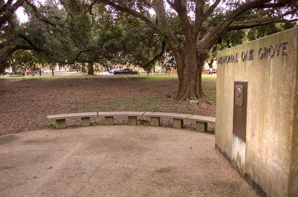 The Memorial Oak Grove reopened this week after being fenced off for years.