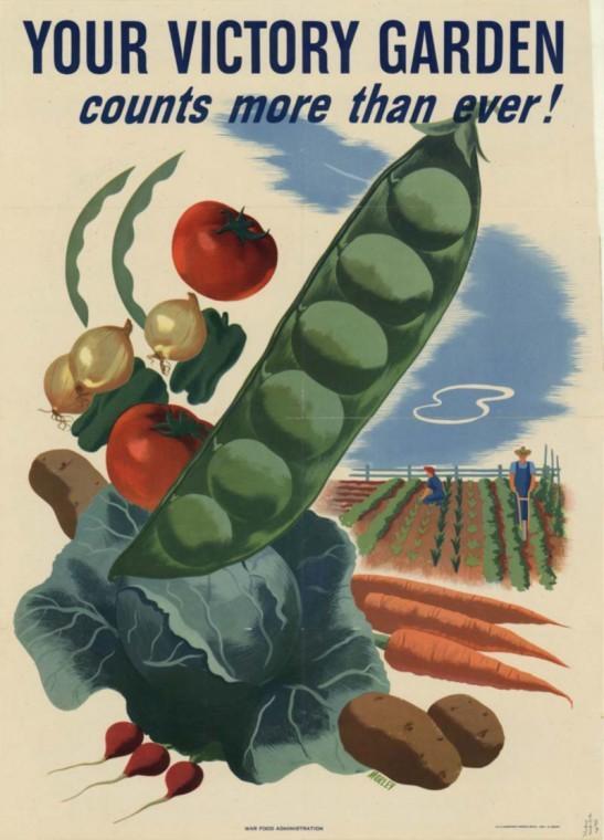 Victory garden poster, World War II (1945).
 