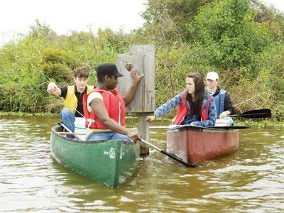 [From left] Biology seniors Jesse Beckemeyer, Ericka Johnson, Hannah Rockett and Daniel Noel check a wood duck box Monday during their ecology service learning class.