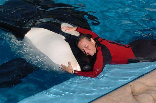 In this photo taken on Dec. 30, 2005, Dawn Brancheau, a whale trainer at SeaWorld Adventure Park, is shown while performing. Brancheau was killed in an accident with a killer whale at the SeaWorld Shamu Stadium Wednesday afternoon, Feb. 24, 2010. (AP Photo/Orlando Sentinel, Julie Fletcher) ** MANDATORY CREDIT. LEESBURG OUT; LADY LAKE OUT; TV OUT; MAGS OUT; NO SALES **