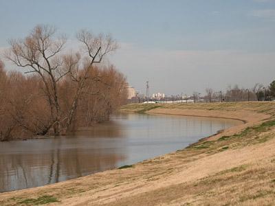 The river at the River Road levees by the Vet School has risen to the flood stages, according to the NWS.