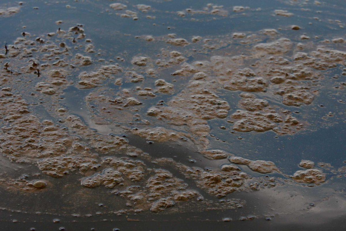 A patch of oil floats Monday on the water near the coast of Grand Isle.