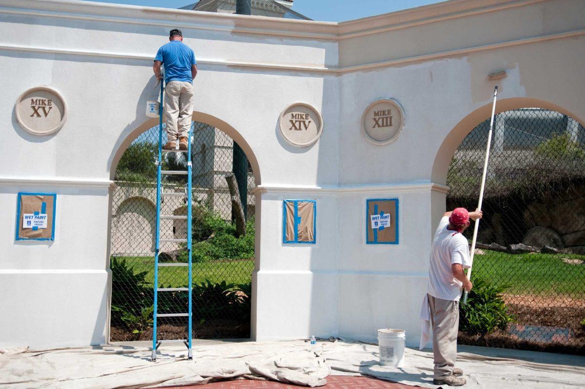 Workers give Mike the Tiger&#8217;s habitat a fresh coat of paint Thursday as part of renovations. The updates are expected to be complete no later than Monday.