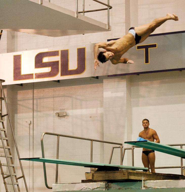 LSU junior Matt Vieke dives from the three-meter platform during a swim meet against Florida State on Saturday. LSU secured its first dual meet win since Jan. 31.