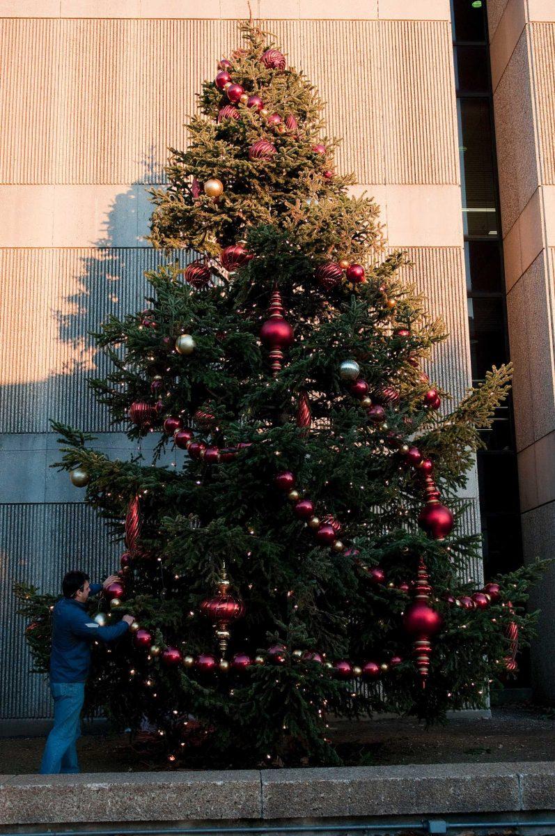 The 35-foot Christmas tree in the Baton Rouge River Center Plaza is prepared Tuesday for the lighting ceremony Friday. The tree will be lit at the Festival of Lights.