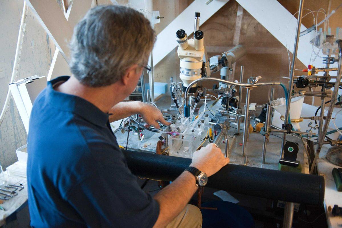 Dr. John Caprio explains the instruments needed to collect data on the smell and taste senses of catfish. The research led to the development of a more realistic fishing lure.