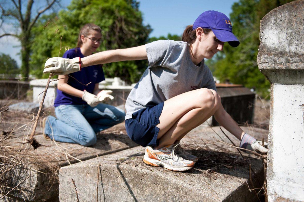 Aimee Landry, biology freshman, pulls out dead plants Saturday at Old Lutheran Cemetery during the Honors College service project.