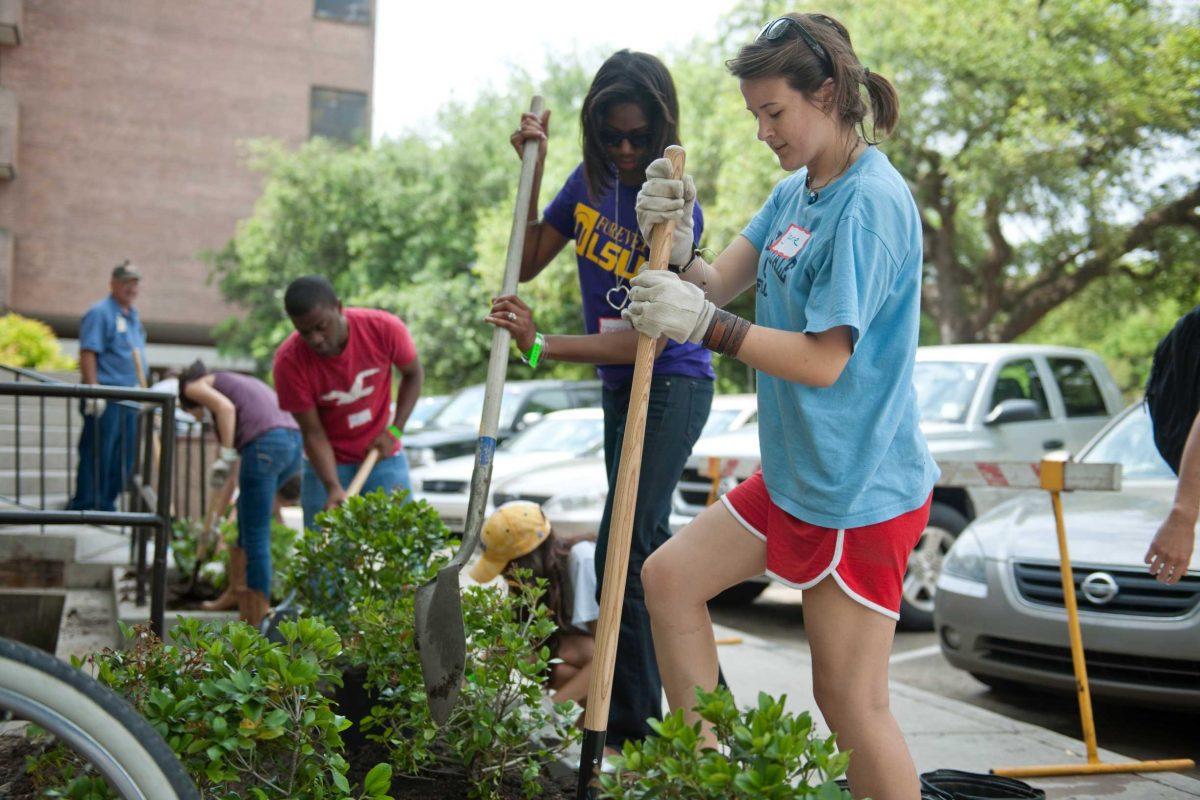 Students plant new shrubbery around Audubon Hall on Friday as part of the second annual Spring Greening Day beautification project.