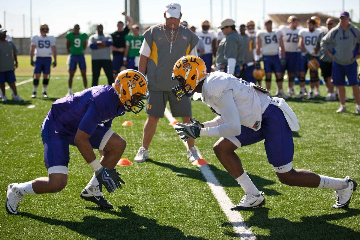 LSU football coach Les Miles and his team watch two players square off during the Big Cat Drill on Tuesday at the Charles McClendon practice facility.