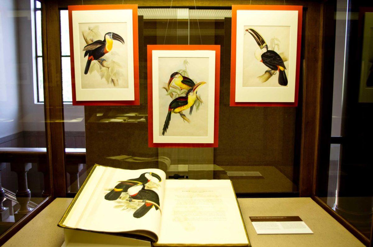 Hill Memorial Library&#8217;s AVES exhibit showcases the works of explorers in Central and South America, including pictures and writings describing animals, plants and places.