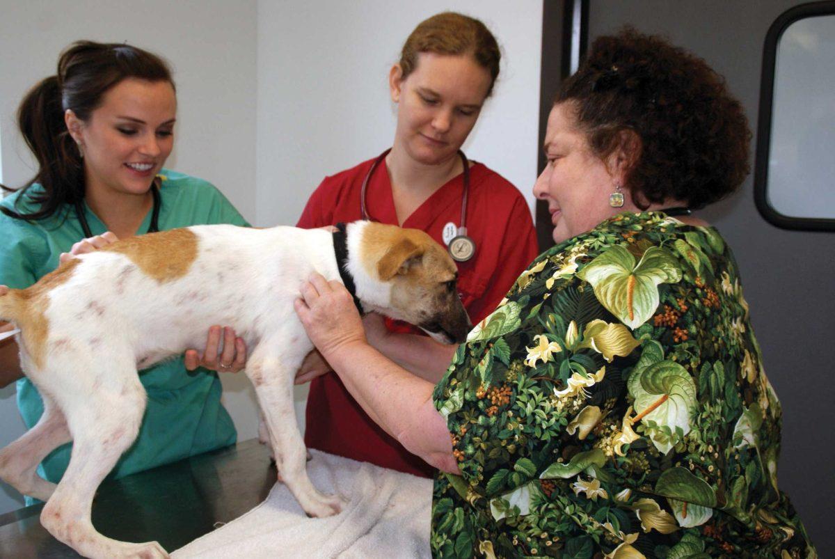 Fourth year veterinary students Pauline Clayton and Lara Wilson help Dr. Wendy Wolfson examine a dog Aug. 25 at the animal shelter at Dixon Correctional Institute in Jackson.