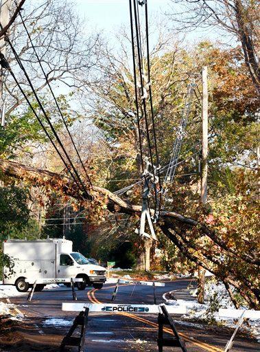 Private contractors from A&amp;B Aerial Services use a chain saw to cut up and remove a large tree that feel on telephone lines on Millbrook Road in Stillwater, N.J. Monday Oct. 31, 2011. An unusual October snow storm this past Saturday dumped up to 15 inches of snow in some areas of N.J. causing power outages across the state.