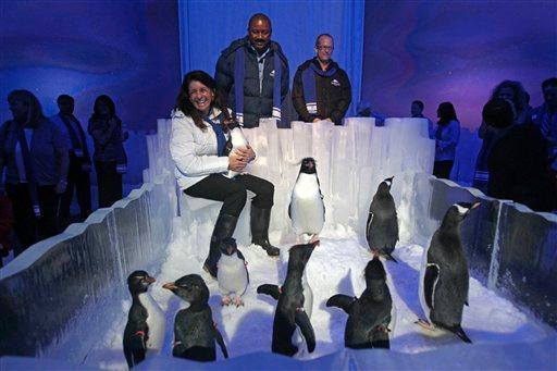 SeaWorld Orlando executives talk about a new attraction