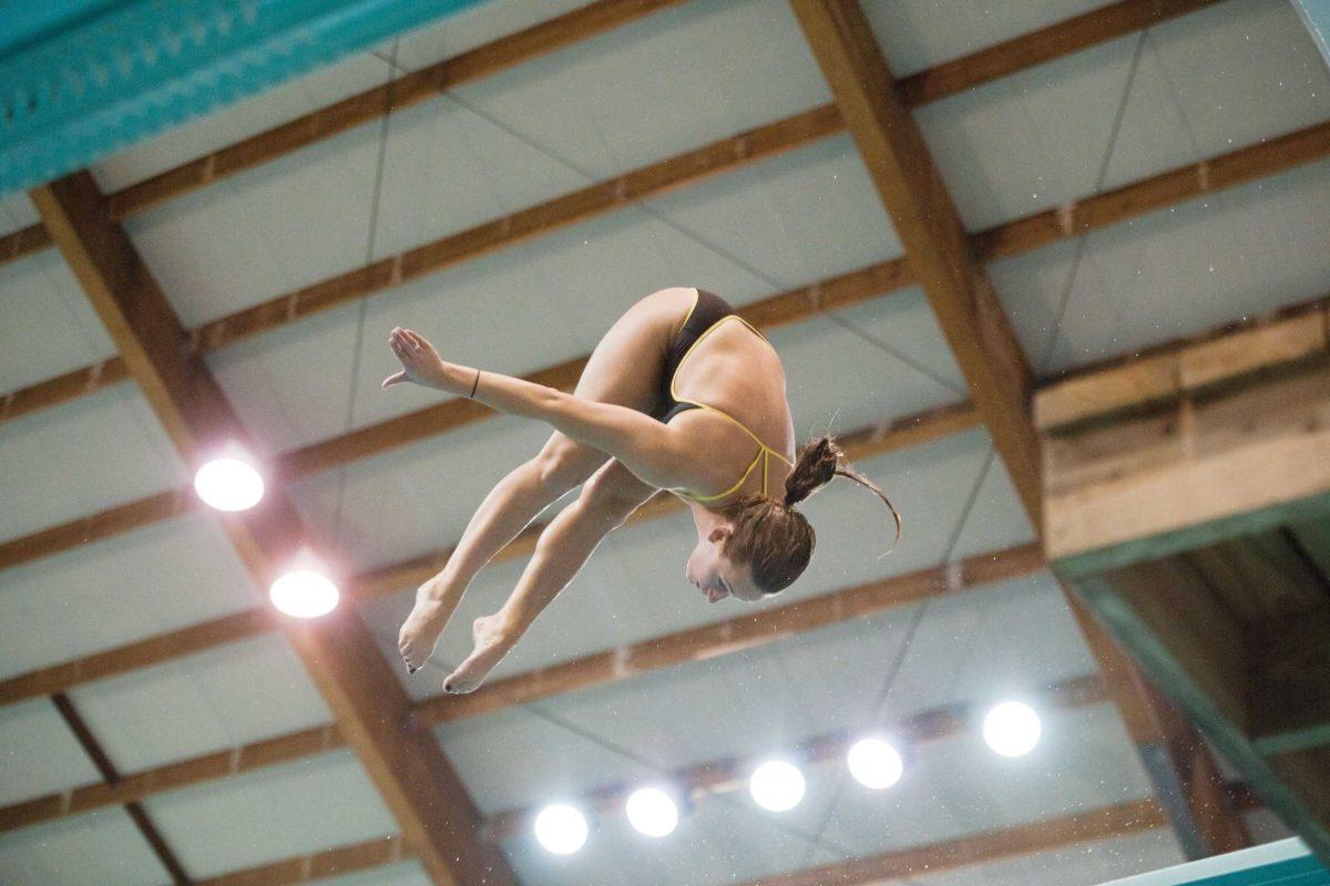 Freshman diver Alex Bettridge completes a back dive pike during a practice in the LSU Natatorium on Tuesday.