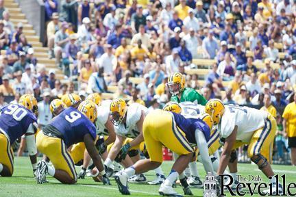 Junior quarterback Zac Mettenburger surveys the field in the annual spring game in Tiger Stadium Saturday.