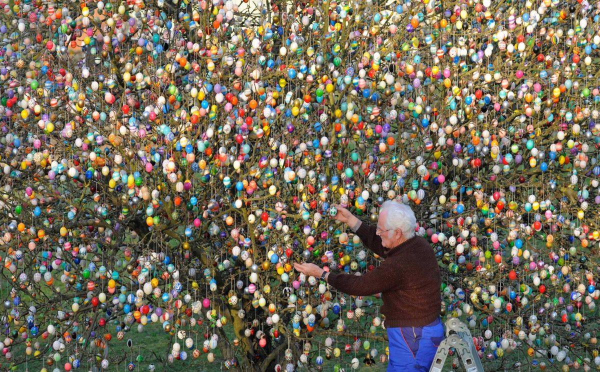 Volker Kraft decorates a tree with 10,000 Easter eggs March 21 in the garden of Christa and Volker Kraft in Saalfeld, Germany.