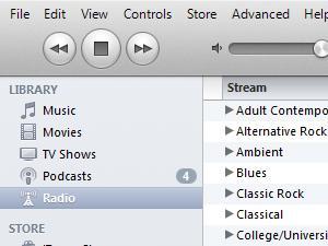 In iTunes, just click on "Radio"
 