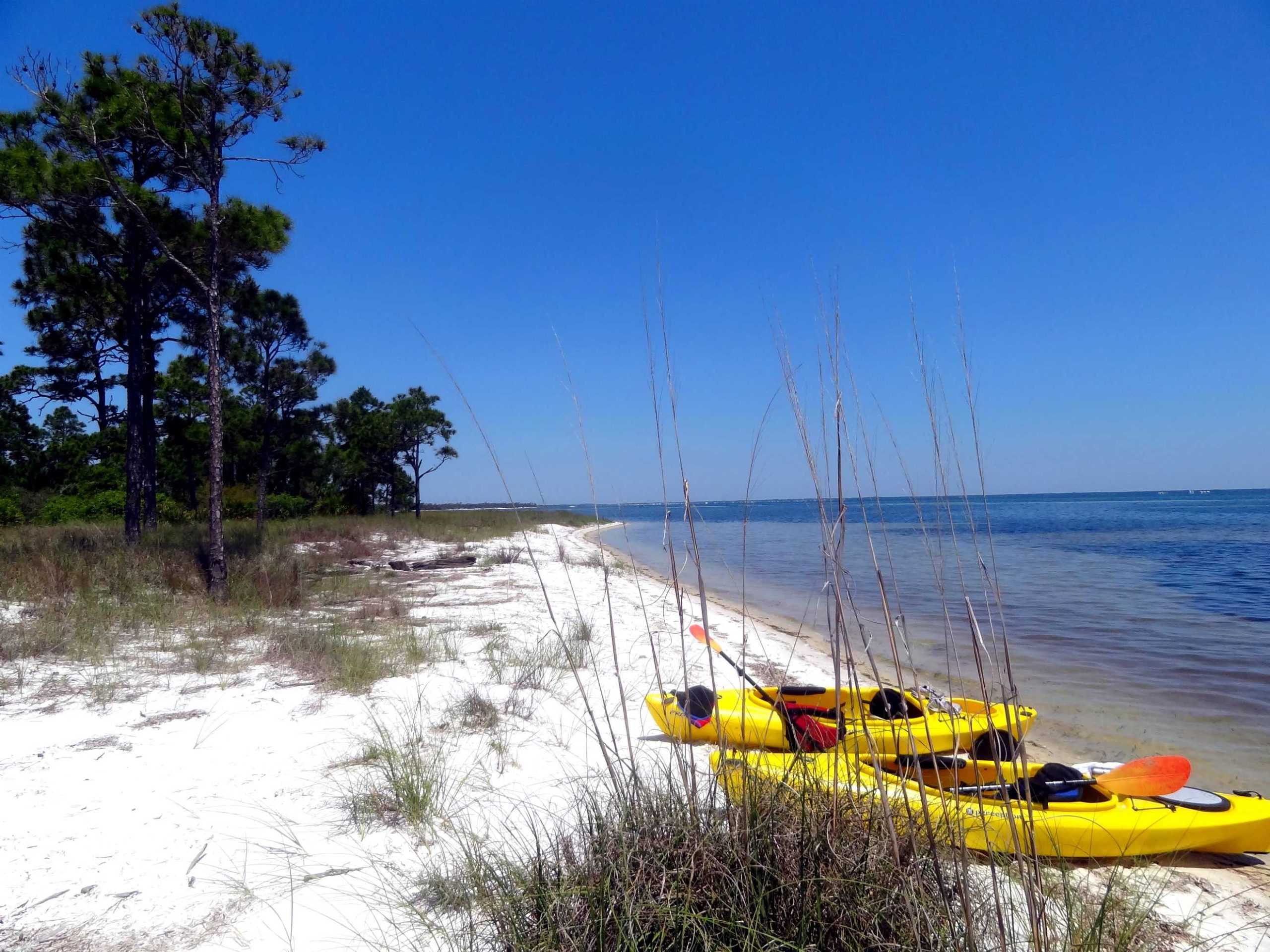 UREC Adventure Education sends students on kayak trip