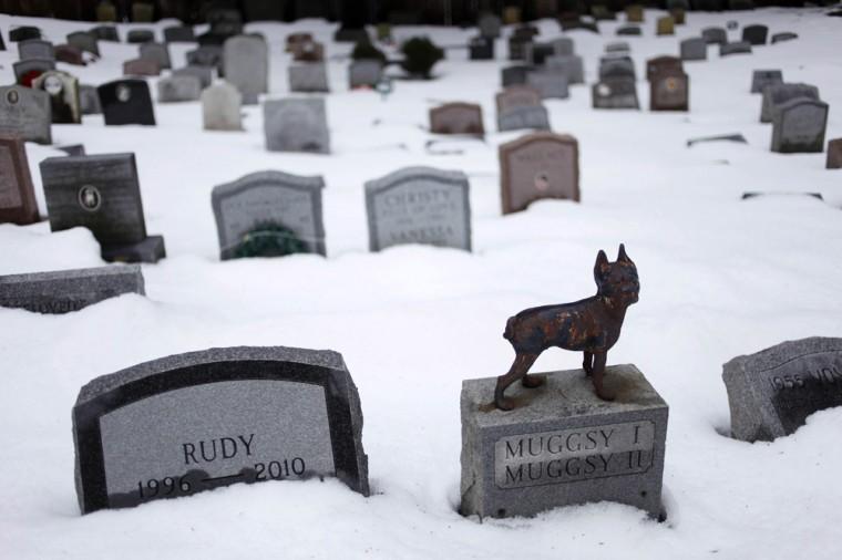 FILE - In this file photo of Jan. 19, 2011 photo, headstones marking the graves of pets are spread throughout the Hartsdale Pet Cemetery in Hartsdale, N.Y., the first burial ground for animals named to the National Register of Historic Places. The 116-year-old Hartsdale Pet Cemetery, final home to some 75,000 animals and a few hundred humans, is being designated for its "social history and landscape architecture." (AP Photo/Seth Wenig, File)
 