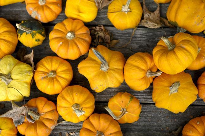 Local church holds fourth annual pumpkin carving fundraiser