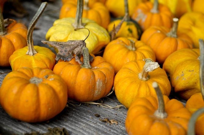 Local church holds fourth annual pumpkin carving fundraiser