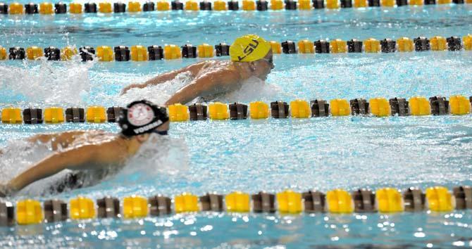 LSU swimming and diving &#8220;in a really good spot&#8221; heading into spring