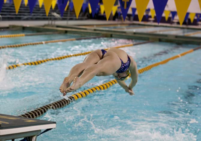 LSU senior Audrey Lawson dives in during the 200 yard freestyle relay during the girls meet against Tulane, Rice, and Houston in the Natatorium on Jan. 26, 2013.
 