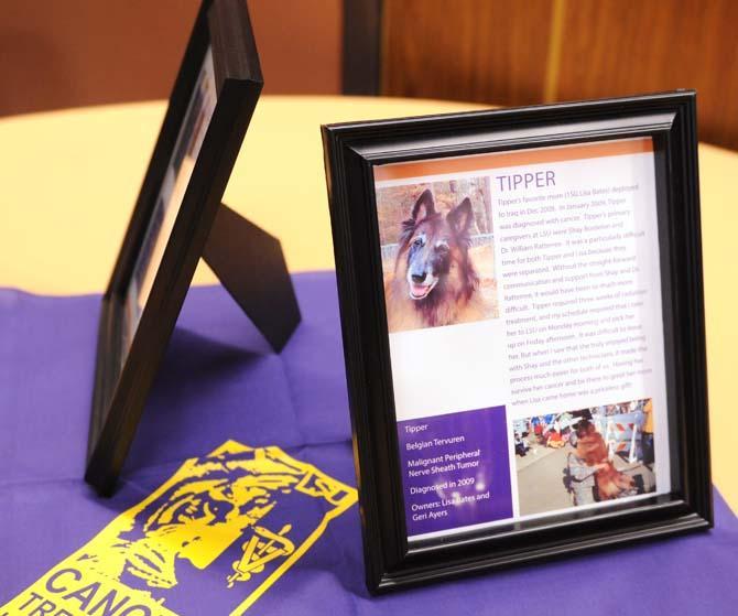 Profiles of pets who have undergone cancer treatment were displayed on Jan. 12, 2013, at the LSU School of Veterinary Medicine.
 