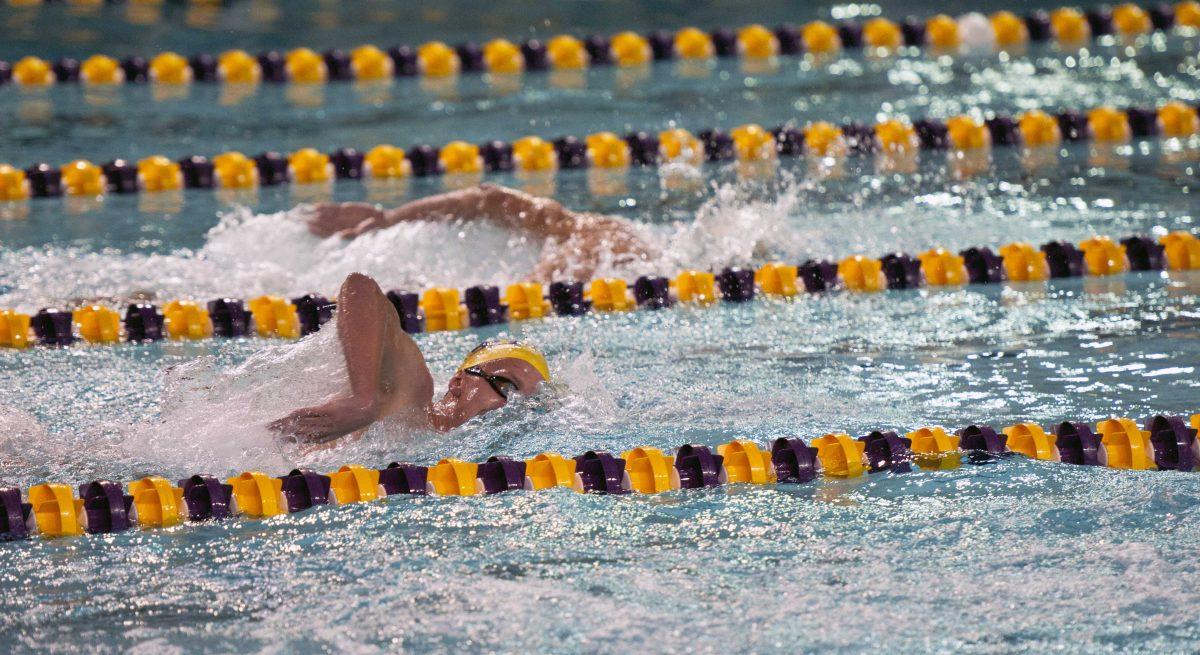 LSU senior swimmer Craig Hamilton swims against Florida State on Oct. 30, 2010, as a sophomore. Hamilton has notched five first-place finishes in his last three meets.