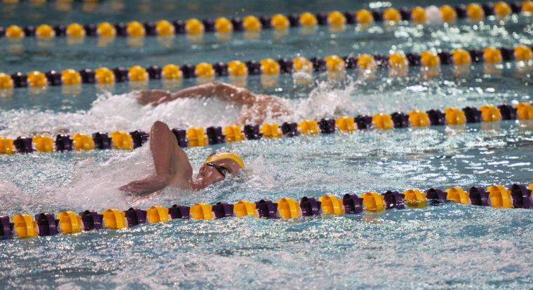 LSU senior swimmer Craig Hamilton swims against Florida State on Oct. 30, 2010, as a sophomore. Hamilton has notched five first-place finishes in his last three meets.
 