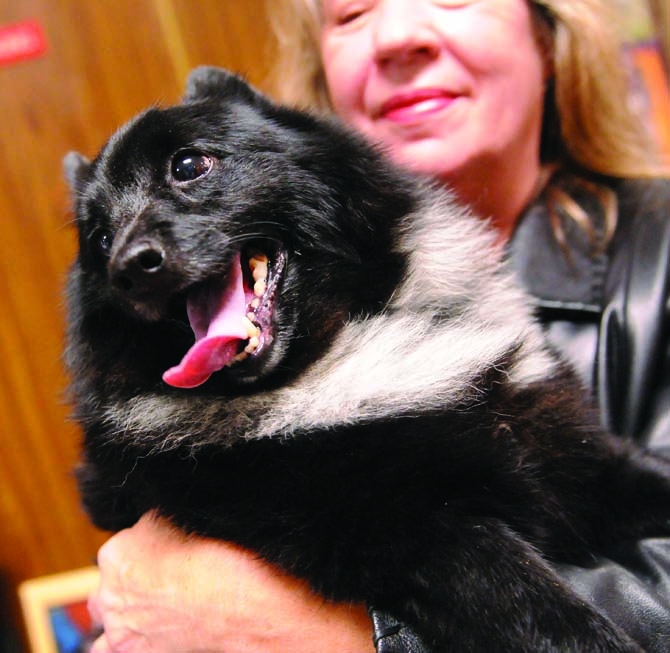 Retired AgCenter employee Diane Butler and Squeaker came out to support the LSU Veterinary School on Jan. 12, 2013. Butler said Squeaker was diagnosed with a mast cell tumor in 2010.
 