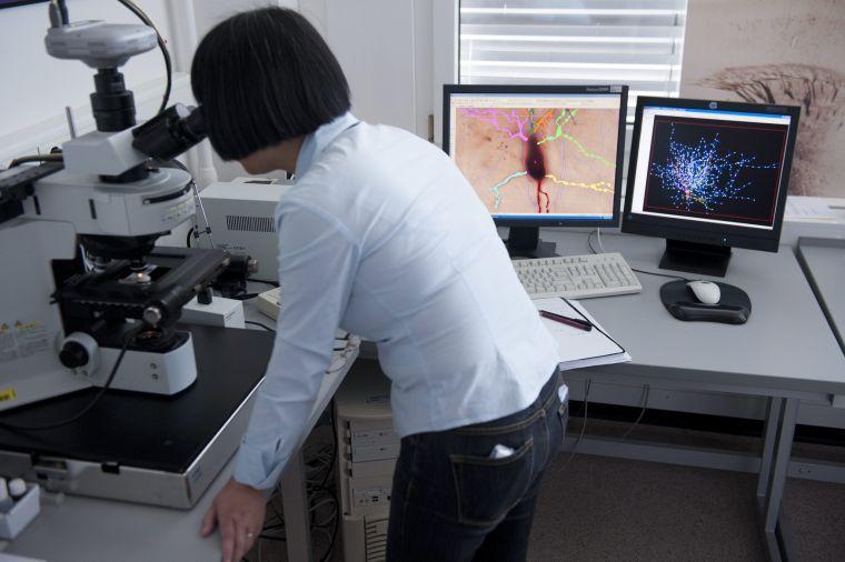 FILE - In this May 9, 2011 file picture scientist Ying Shi looks into a microscope at the Blue Brain team and the Human Brain Project (HBP) of the Ecole Polytechnique Federale de Lausanne (EPFL), in Lausanne, Switzerland. The Blue Brain team works together with other European and international partners to propose the Human Brain Project (HBP), a candidate for funding under the EU's FET Flagship program. The Blue Brain Project is an attempt to create a synthetic brain by reverse-engineering the mammalian brain down to the molecular level. (AP Photo/Keystone/Laurent Gillieron,File)
 