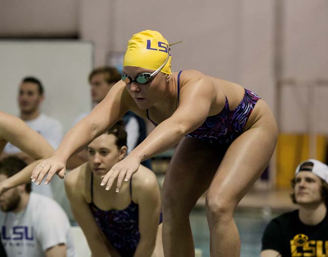 LSU senior Sara Halay prepares to dive in during the 200 yard freestyle relay of the girl's swim meet vs. Tulane, Rice, and Houston in the Natatorium on Jan. 26, 2013.
 