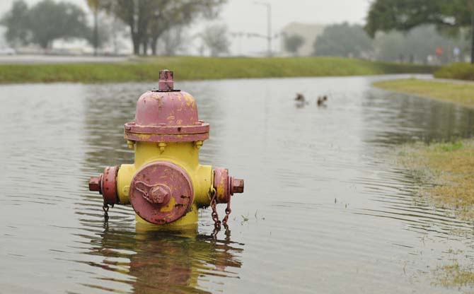 A fire hydrant is submerged next to a flooded parking lot next to Nicholson and Burbank on January 9, 2013.
 