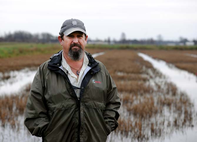 Farm manager Jay Standard stands in front of crawfish ponds Wednesday, Jan. 30, 2013. These ponds are located at LSU's Aquaculture Research Station.
 