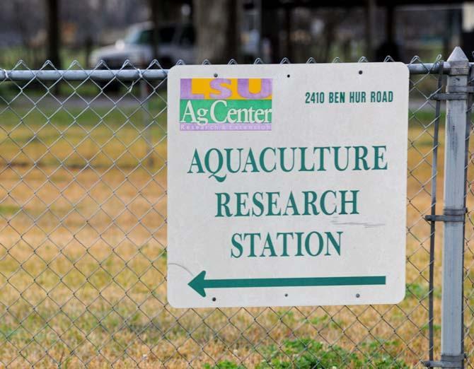 A sign for LSU's Aquaculture Research Station points to the facility Wednesday, Jan. 30, 2013.
 