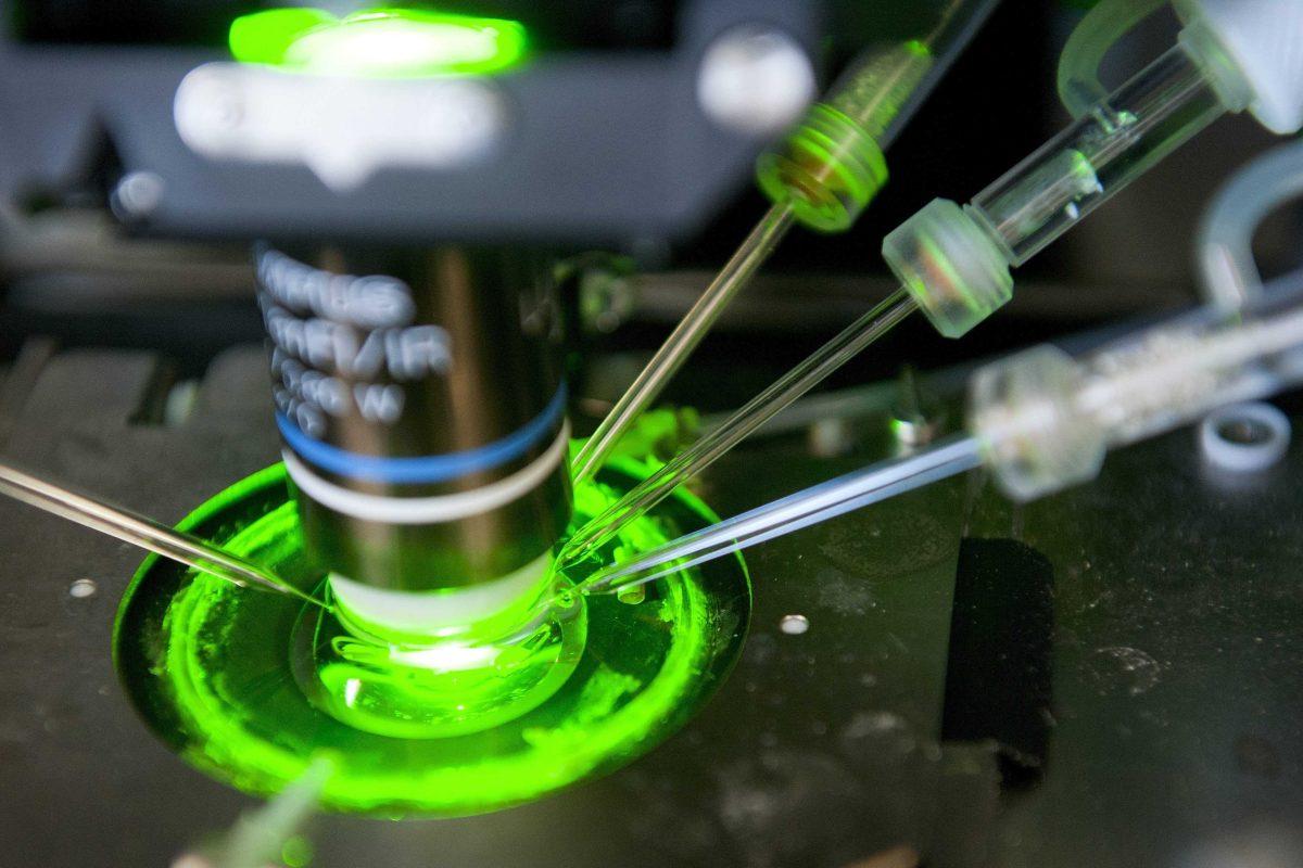 FILE - In this May 9, 2011 file picture people use a infrared-DIC microscopy to do multi-neuron patch-clamp recording in the Blue Brain team and the Human Brain Project (HBP) laboratory of the Ecole Polytechnique Federale de Lausanne (EPFL), in Lausanne, Switzerland. The Blue Brain team has come together with 12 other European and international partners to propose the Human Brain Project (HBP), a candidate for funding under the EU's FET Flagship program. The Blue Brain Project is an attempt to create a synthetic brain by reverse-engineering the mammalian brain down to the molecular level. (AP Photo/Keystone/Laurent Gillieron)