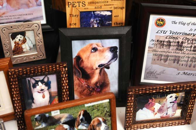 Families who have lost their pets to cancer displayed portraits to commemorate their lives on Jan. 12, 2013, at the LSU School of Veterinary Medicine. This year marks the 10th anniversary of the cancer treatment unit.
 