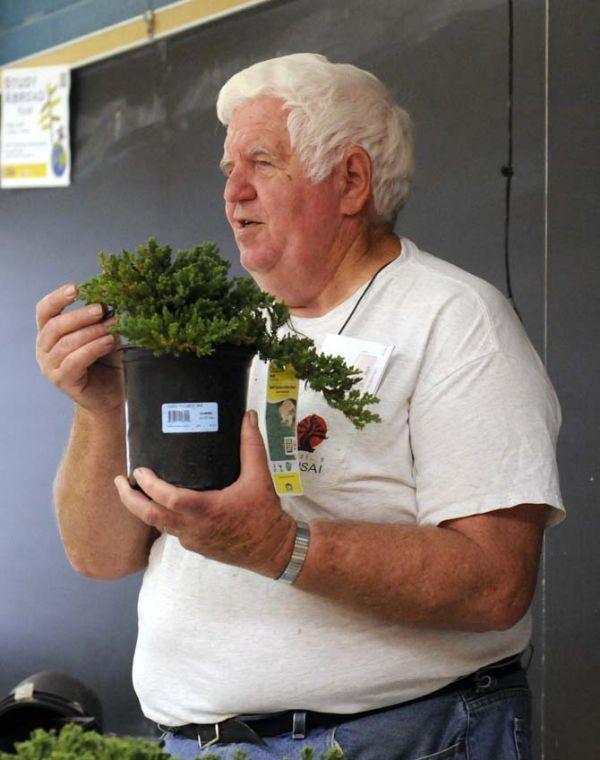 Bonsai enthusiast Lowell Tilley teaches the art of bonsai, a Japanese art form using miniature trees grown in small containers, at Tureaud Hall on Feb. 2, 2013.
 