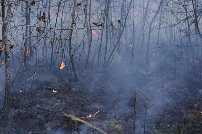 RNR class conducts prescribed burns, learns about fire as a tool