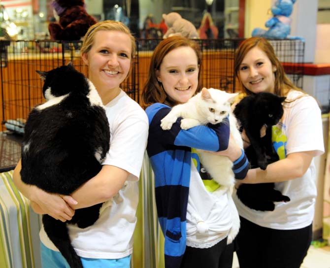 Pre-Dental Hygiene sophomore Alexis Breaux (left), Pre-nursing freshman Bailey Crownover (middle), and Pre-nursing freshman Ashley Rodriguez (right), all Project Purr volunteers, hold three cats available for adoption at a kiosk in the Mall of Louisiana Tuesday, Feb. 26, 2013.
 