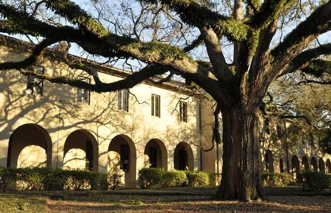 An oak tree stands in the quad Thursday, Feb. 14, 2013.
 